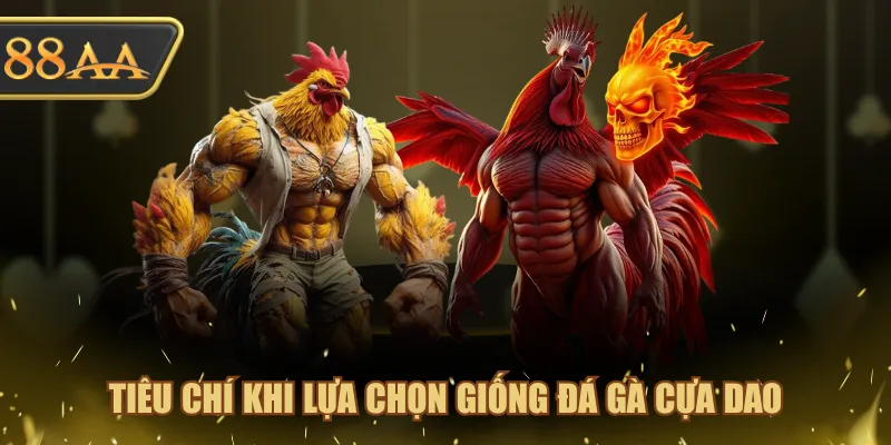 Đá Gà Cựa Dao Chọn Giống Nào? Sư Kê Bật Mí 4 Lựa Chọn Chuẩn 2 Tiêu chí khi lựa chọn giống đá gà cựa dao